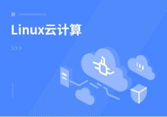 软件开发