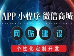 重庆应用软件开发