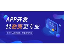 软件开发