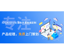 软件开发