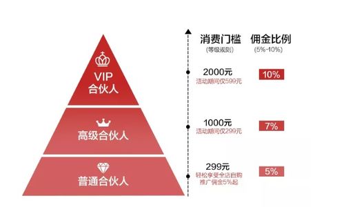 美康粉黛系统模式开发