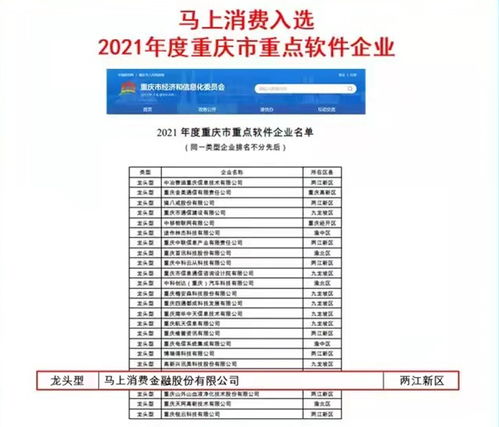 马上消费入选2021年度重庆市重点软件企业