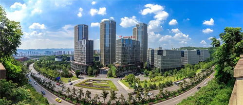 重庆软件产业发展成效明显